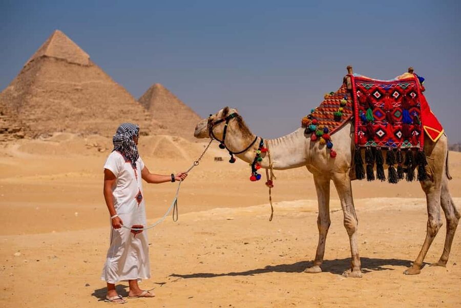Sharm El-Sheikh: Full-Day Tour of Cairo and Pyramids by Bus - Guide experience matters: Sarwat, Ibrahim Hamed, Ahmed Wahib, and Mohamed Amin