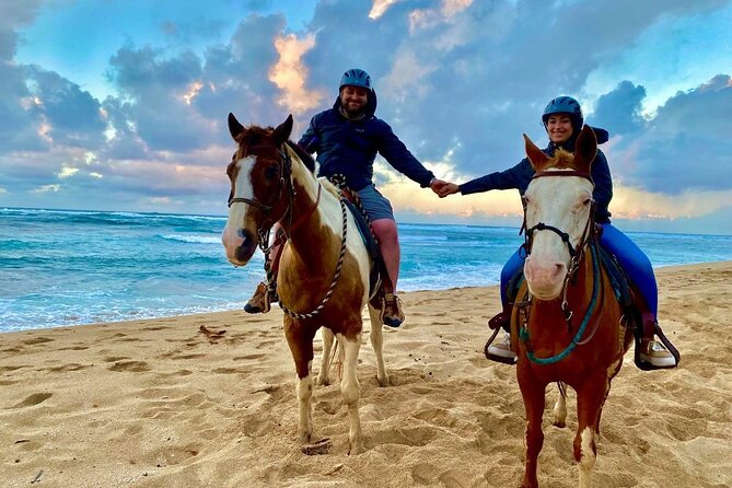 Sharm El Sheikh Horseback Riding with Pickup and Drop-off - Key points worth knowing before you go