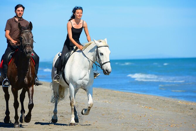 Sharm El Sheikh Horseback Riding with Pickup and Drop-off - Getting to the stables with air-conditioned pickup