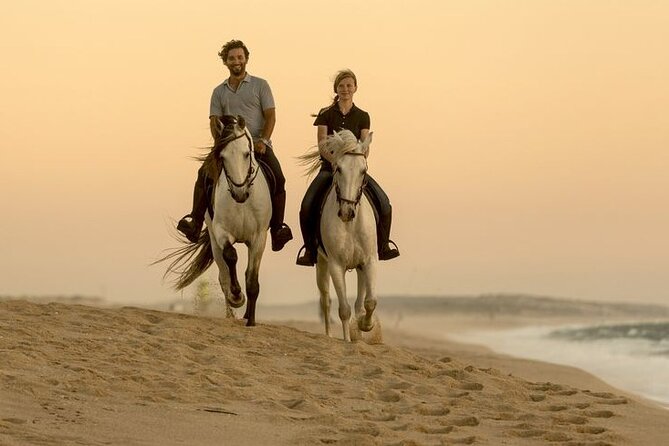 Sharm El Sheikh Horseback Riding with Pickup and Drop-off - How the 1-hour and 2-hour options affect your whole day