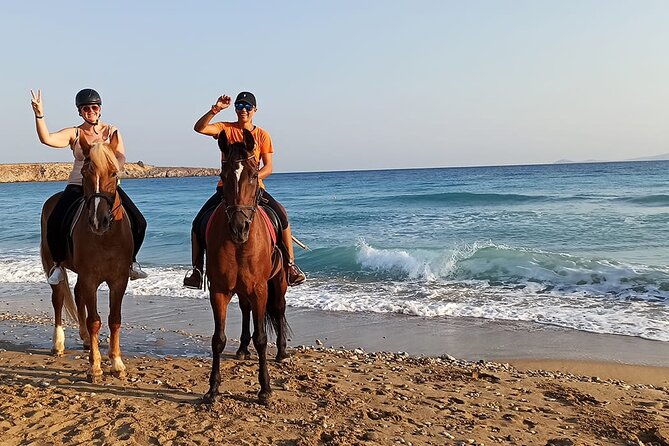 Sharm El Sheikh Horseback Riding with Pickup and Drop-off - What you do during the ride, step by step