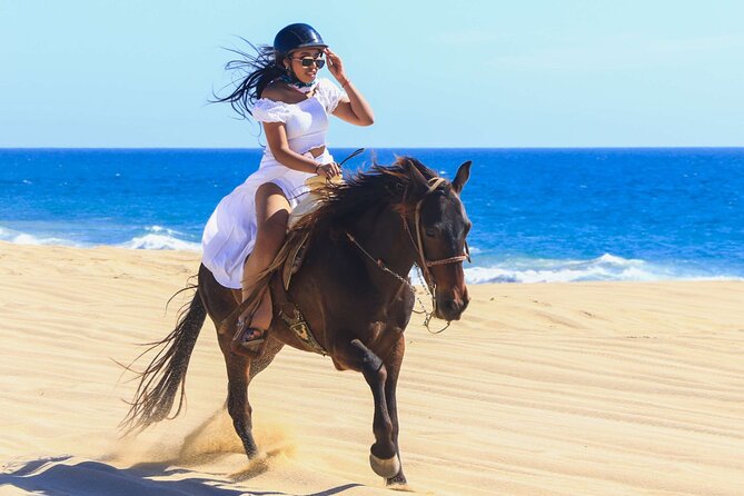 Sharm El Sheikh Horseback Riding with Pickup and Drop-off - Price and value: what $8.16 really buys you