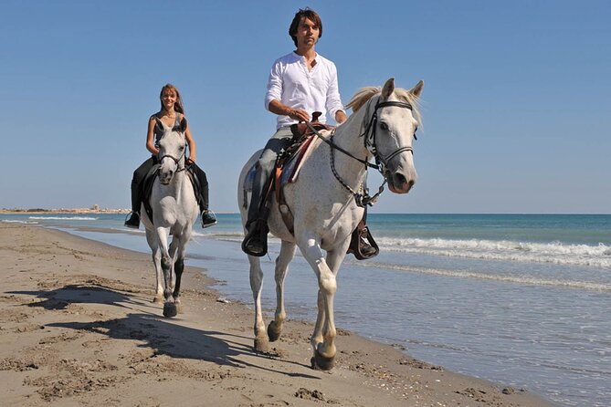 Sharm El Sheikh Horseback Riding with Pickup and Drop-off - Who this Sharm El Sheikh horse ride fits best