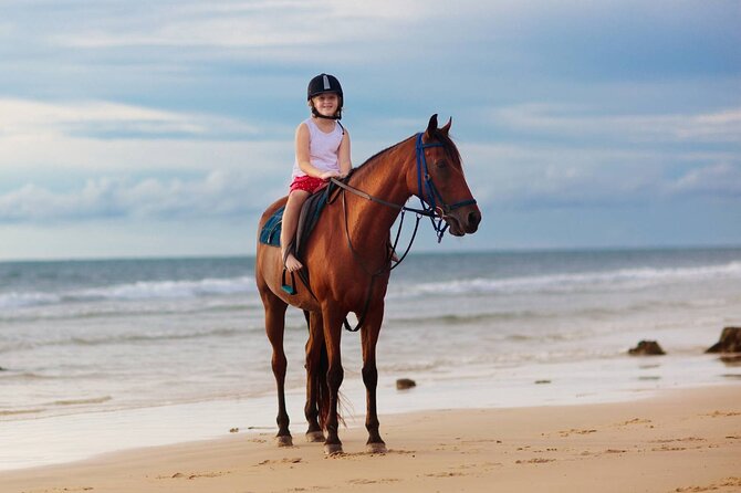 Sharm El Sheikh Horseback Riding with Pickup and Drop-off - Trainer briefing and safety helmet, done the practical way