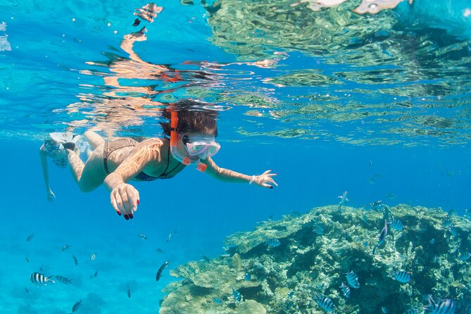 Sharm El-Sheikh: Jeep Adventure to Blue Hole, Canyon & Dahab - Camel Ride and the Dahab Market Stop: Classic Moments With Real-Time Limits