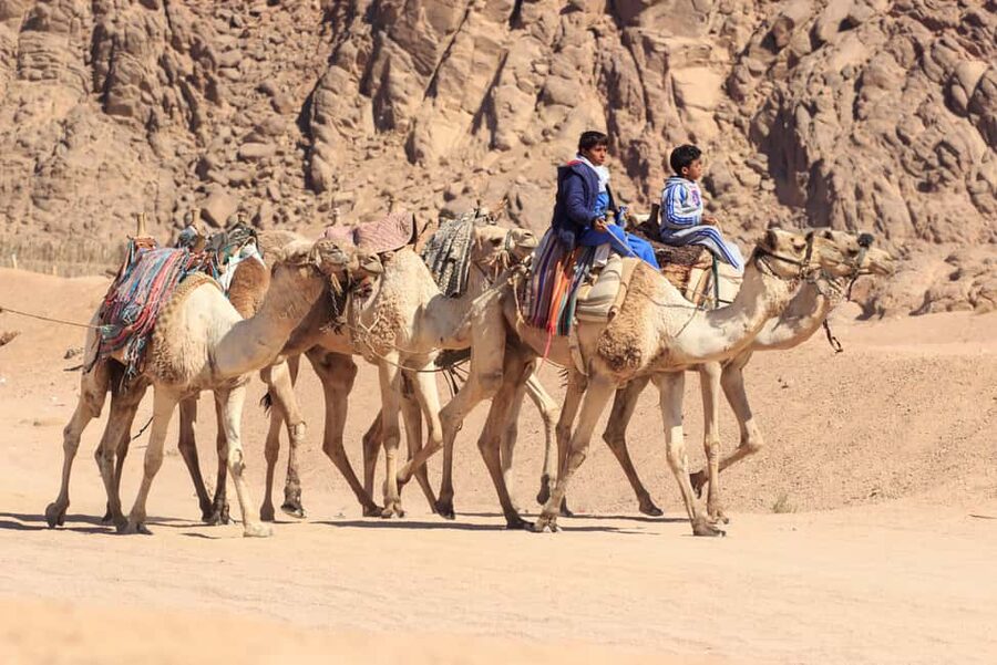 Sharm El-Sheikh: Morning Desert ATV Quad or Buggy Adventure - Sandboarding: The Quick Way to Get Big Desert Fun