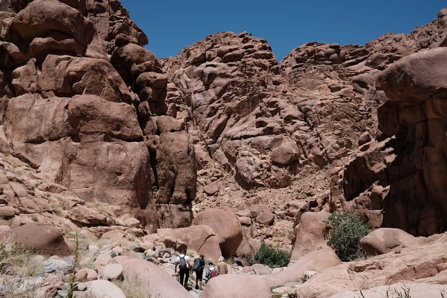Sharm El Sheikh: Mount Sinai & St. Catherine's Monastery - Who this tour suits best, and who should think twice