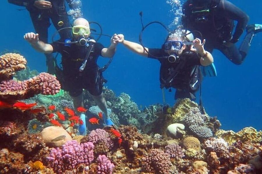 Sharm El-Sheikh: Parasailing, Camel Ride, Dive & Quad Bike - Quad Bike Safari Into the Desert, Then a Camel Pause