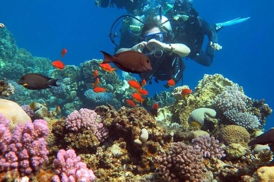 Sharm El-Sheikh: Parasailing, Camel Ride, Dive & Quad Bike - Price and Value at $41: Where the Money Goes