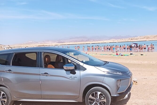 Sharm el Sheikh Private Airport Transfer - Private Transfer, Real-Time Stress Reduction in Sharm