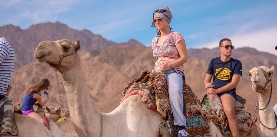 Sharm El Sheikh: Quad bike, Safari, Camel With Dinner & Show - Camel Ride at Sunset, Then Chai in a Bedouin Village