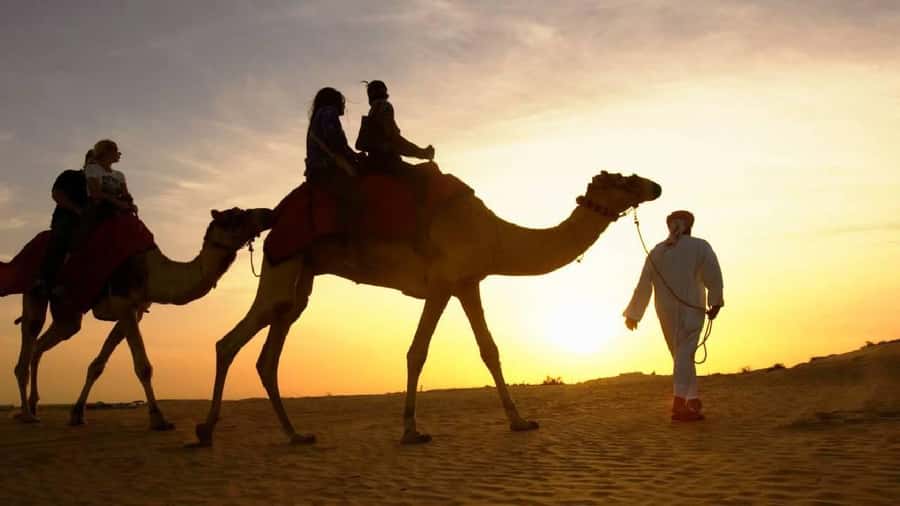 Sharm El Sheikh: Quad Biking, Camel Ride & Bedouin Dinner. - Quad Biking in Sharm El-Sheikh: the real reason it works