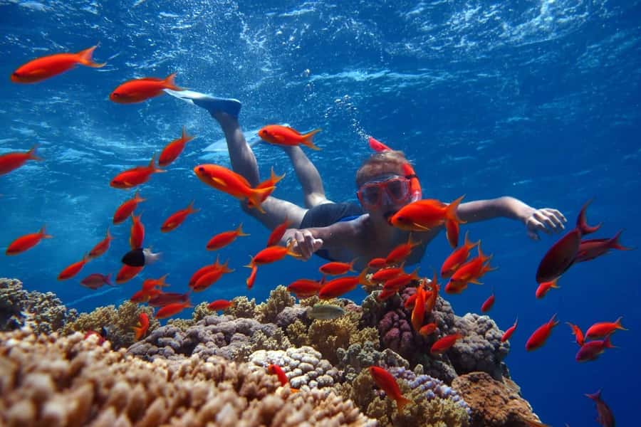 Sharm El Sheikh: Ras Mohamed Cruise with Snorkeling & Lunch - Onboard vibe: a boat day that runs on purpose