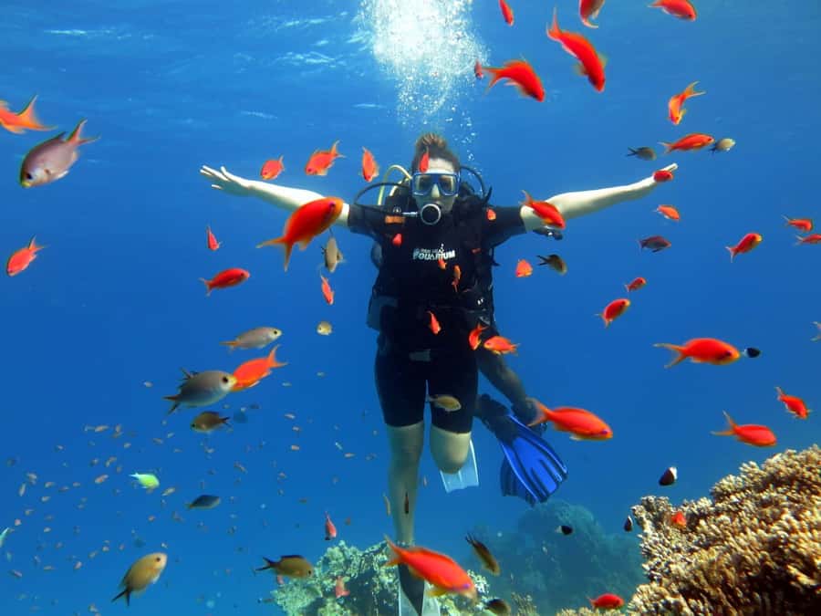 Sharm El Sheikh: Ras Mohamed Cruise with Snorkeling & Lunch - Gear and comfort: what to bring for a smooth water day