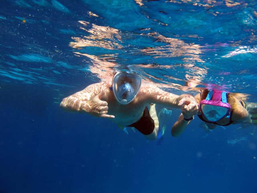 Sharm El Sheikh: Ras Mohamed Cruise with Snorkeling & Lunch - Getting to Watanya Marina, and what to do when you arrive