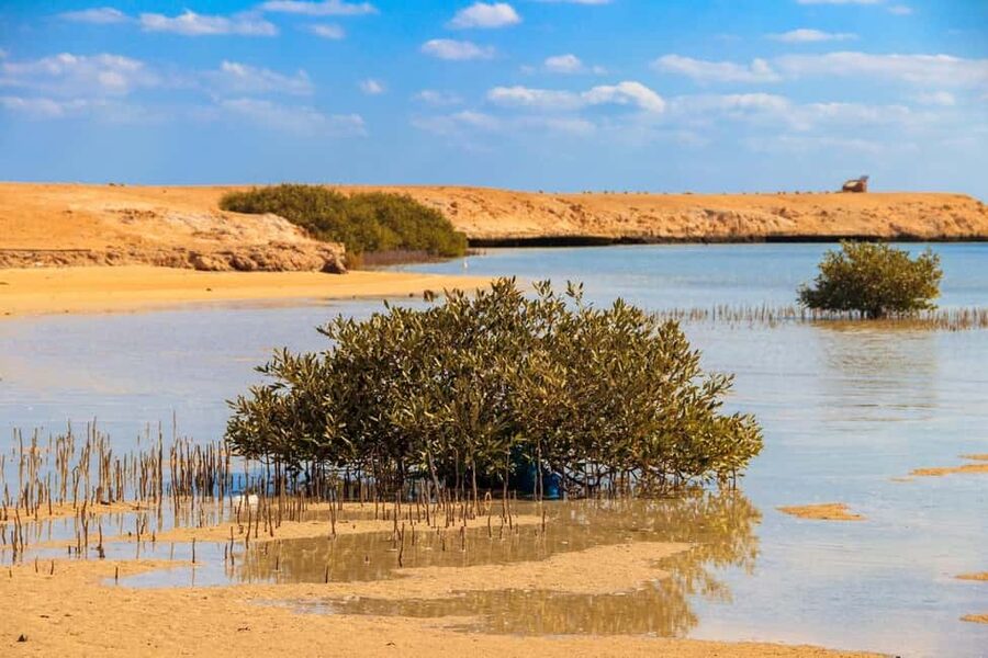 Sharm El-Sheikh: Ras Mohamed Half-Day Tour & Allah's Gate - Price and value: what $18 gets you (and what it does not)