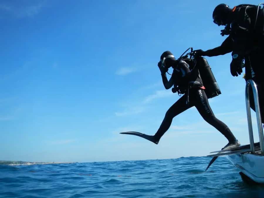 Sharm El Sheikh: Ras Mohamed & White Island Dive & Snorkel - Sharm El Sheikh to Ras Mohamed: the “why this works” part