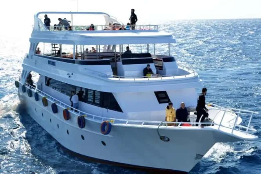 Sharm El Sheikh: Ras Mohamed & White Island Dive & Snorkel - Intro scuba in Sharm: what first-timers do, and what you should expect