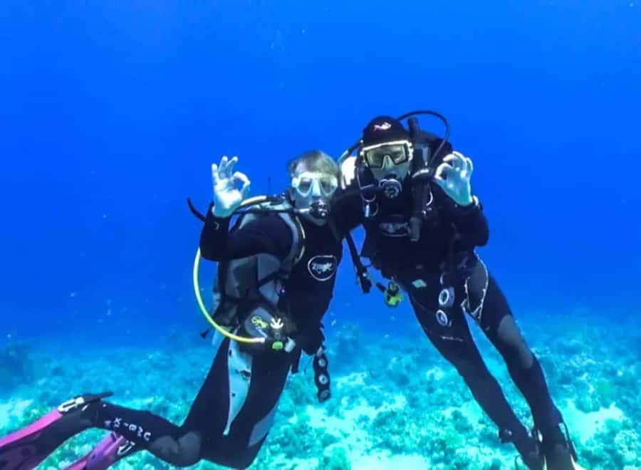 Sharm El Sheikh: Ras Mohamed & White Island Dive & Snorkel - Ras Mohamed snorkeling: two reef stops, guided, and equipment handled