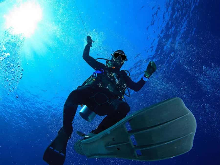 Sharm El Sheikh: Ras Mohamed & White Island Dive & Snorkel - Who this tour suits best in Sharm