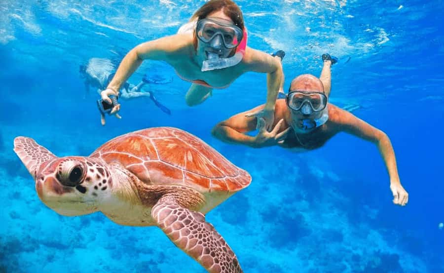 Sharm El Sheikh: Ras Mohamed & White Island Dive & Snorkel - The yacht ride: 3 levels, sun deck, and the calm in-between