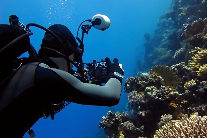 Sharm El Sheikh: Ras Mohamed, White Island, Snorkel and Diving - A 7-Hour Red Sea Day From Sharm el Sheikh Marina