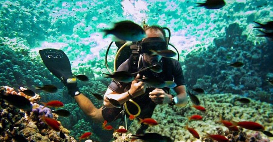Sharm El Sheikh: Ras Mohamed & White Island Snorkel or Dive - Ras Mohamed and White Island from Sharm El Sheikh, Not Just a Swim