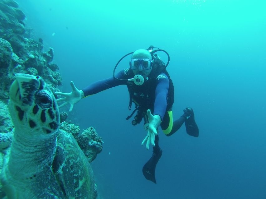 Sharm El Sheikh: Ras Mohamed & White Island Snorkel or Dive - The Day’s Core Plan: Two Sessions, Lunch Between, White Island in the Mix