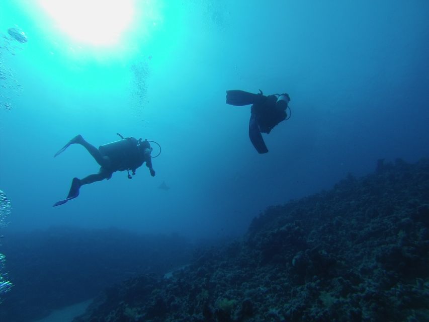 Sharm El Sheikh: Ras Mohamed & White Island Snorkel or Dive - White Island Stop: Why It’s Worth the Boat Ride