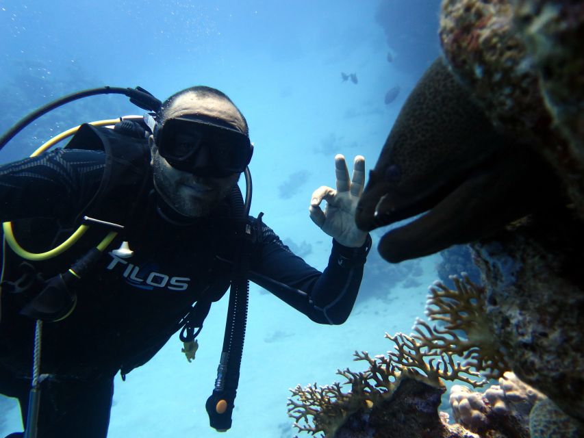 Sharm El Sheikh: Ras Mohamed & White Island Snorkel or Dive - Price and Value: How $18 Shapes the Choice