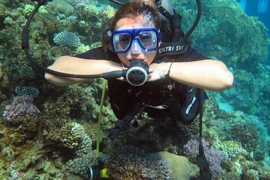 Sharm El Sheikh: Ras Mohamed & White Island Snorkel or Dive - From Hotel Pickup to Scuba Center Briefing