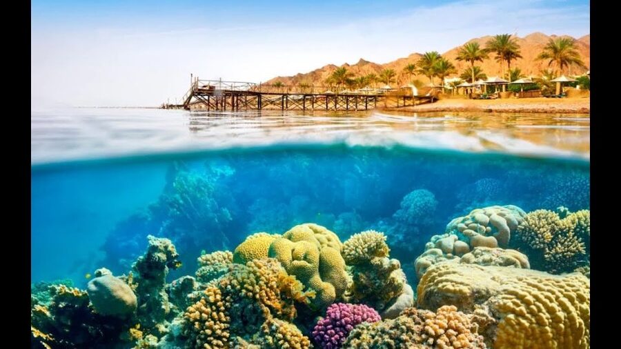 Sharm El-Sheikh: Ras Mohamed & White Island Snorkeling Trip - Who this trip is best for