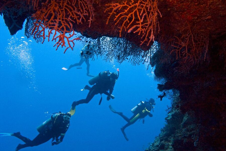 Sharm El-Sheikh: Ras Mohamed & White Island Snorkeling Trip - Barbecue lunch on board: good fuel, with a couple of practical caveats