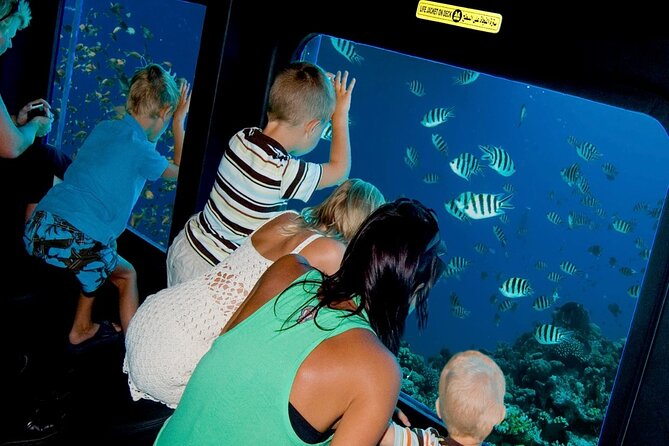 Sharm El-Sheikh: Royal Seascope Submarine cruise in with pickup - Royal Seascope windows and air-conditioned comfort, big enough for kids