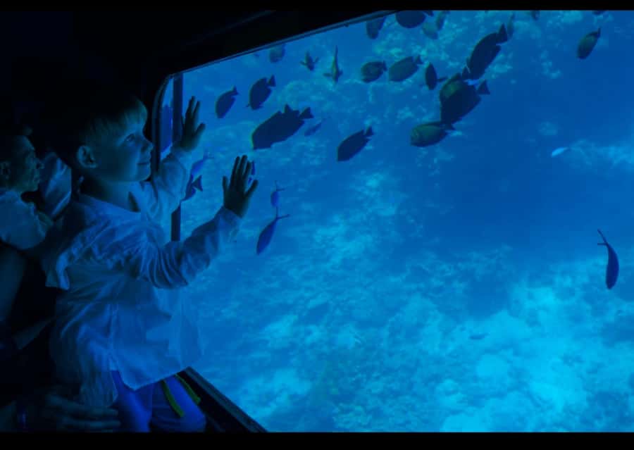 Sharm El-Sheikh: Royal Seascope Submarine Cruise with Pickup - Key things to know before you go