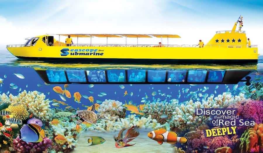 Sharm El-Sheikh: Seascope Submarine boat cruise with pickup - Getting There: Pickup, Shared Bus, and the 45-Minute Reality