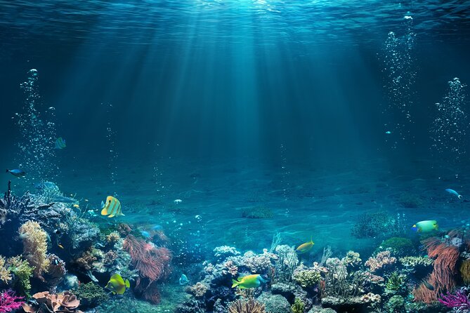 Sharm El Sheikh: White Island and Ras Mohamed Cruise Adventure - Ras Mohammed and White Island: why this combo works