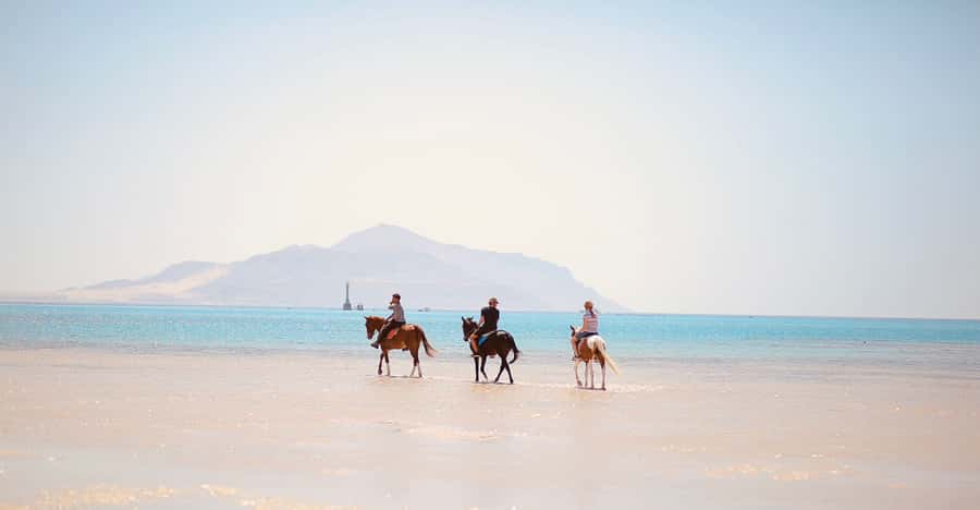 Sharm El Shiekh: Beach and City Desert Horse Riding Tour - Photography on the Beach: How to Get the Memorable Shots Without Regret