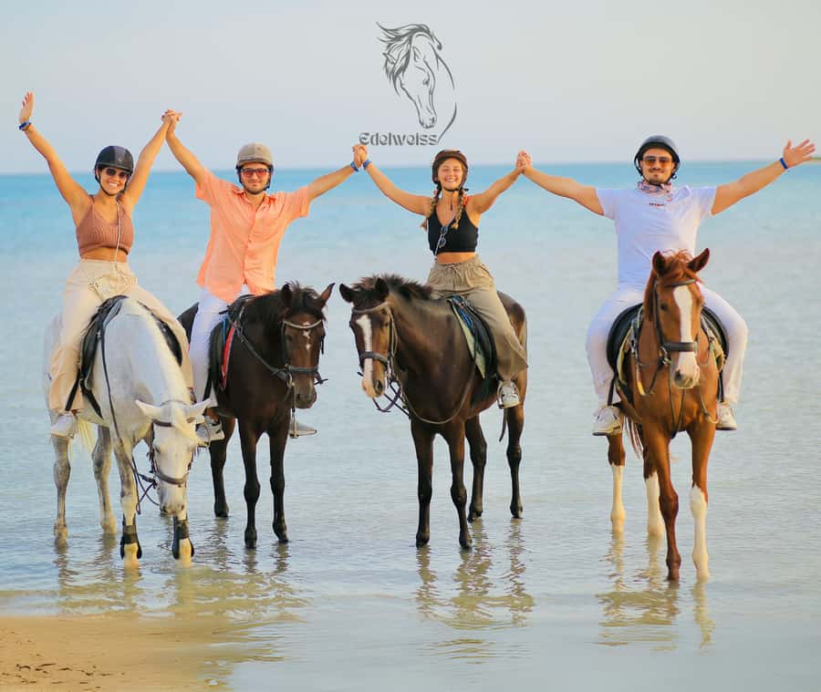 Sharm El Shiekh: Beach and City Desert Horse Riding Tour - The Ride Out: City Desert Views, Then Toward the Beach