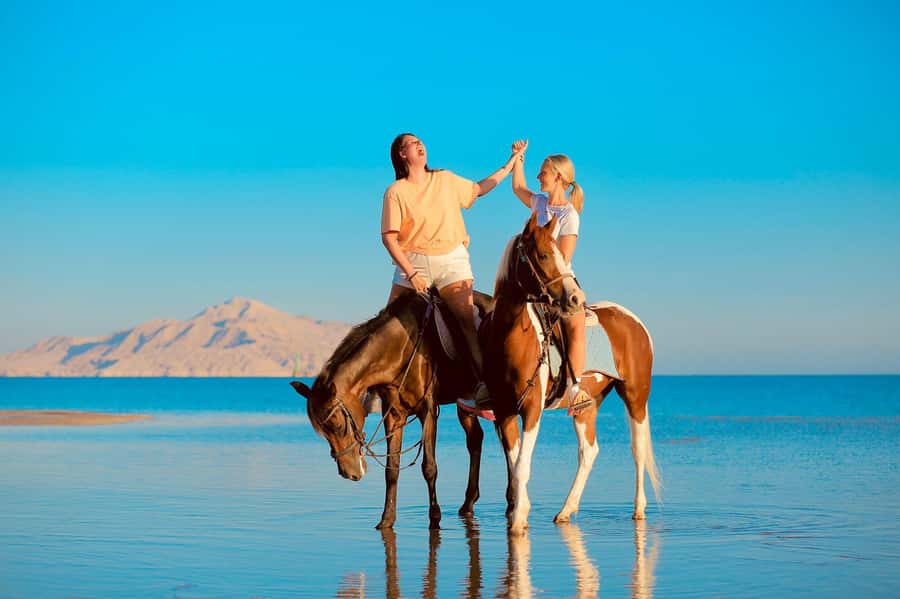 Sharm El Shiekh: Beach and City Desert Horse Riding Tour - Beach Gallops and the Red Sea Splash: The Moment That Makes It Worth It