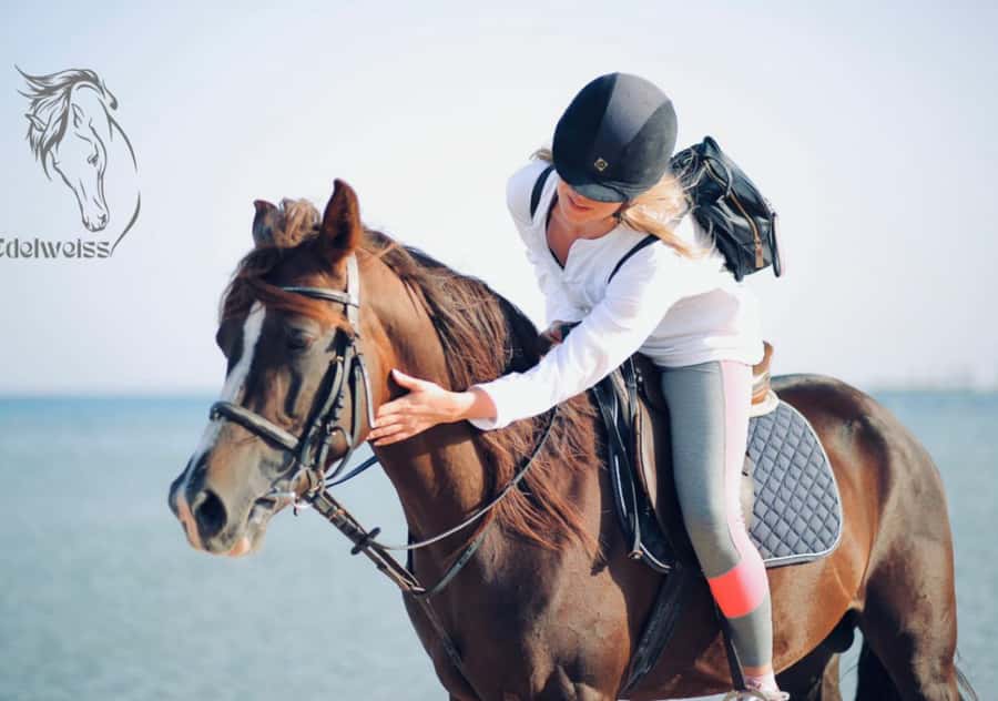 Sharm El Shiekh: Beach and City Desert Horse Riding Tour - Price and Value: Is $98 a Good Deal Here?