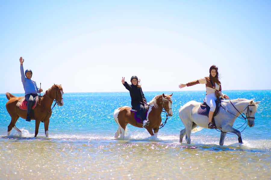 Sharm El Shiekh: Beach and City Desert Horse Riding Tour - Edelweiss Equestrian Center: Helmets, Horse Matching, and a Quick Setup