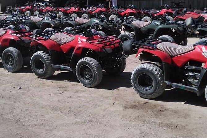 Sharm: Quad Bike or Car Buggy, Camel ride & optional VIP Bedouin Dinner & Show - The Bedouin Tent Stop and Camel Ride Reality