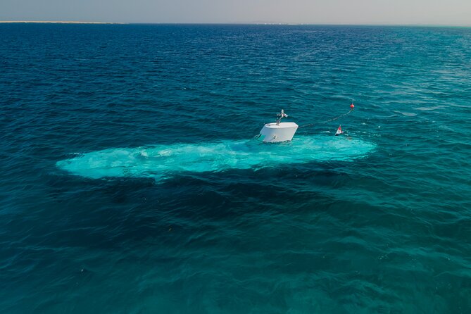 Sindbad Submarines - Hurghada (Egypt) - 2 Hours - Photos and video: what’s sold, what’s optional, and how to handle it