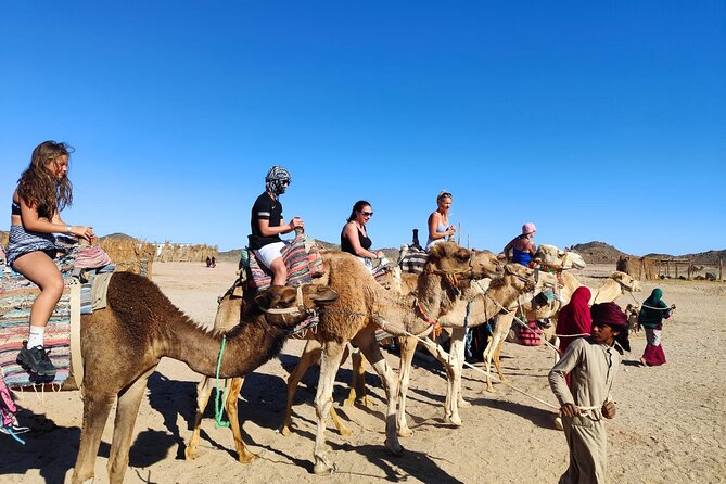 Single Quad Biking in Hurghada - Single-rider quad bike: your control, your pace