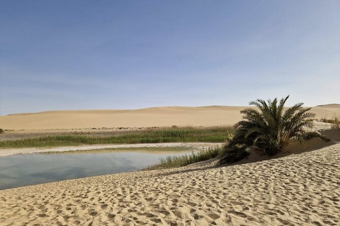 Siwa Oasis All Inclusive Tour From Cairo - Aghurmi Temple of Amun: oracle legends and panoramic hill views