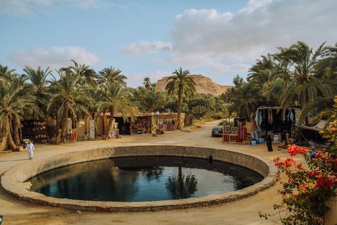 Siwa Oasis private all inclusive from cairo and GIZA - Meals and lodging: what all-inclusive really covers here