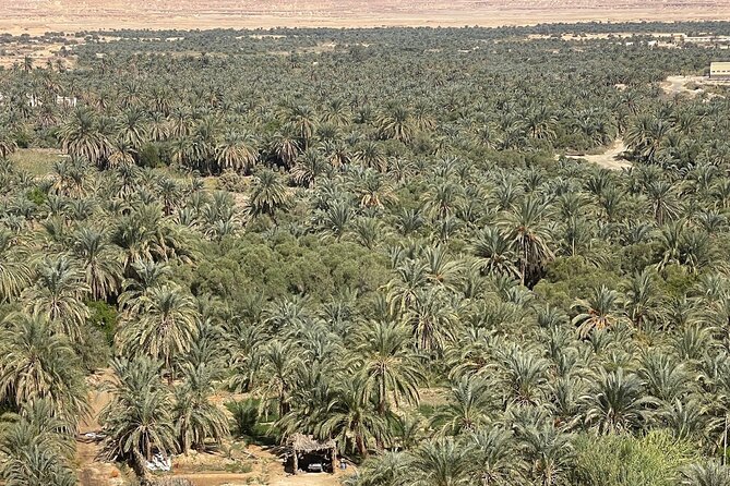 Siwa Oasis tour lifetime Experience 2 days &1night all inclusive - Great Sand Sea: sandboarding, tea at sunset, then hot springs