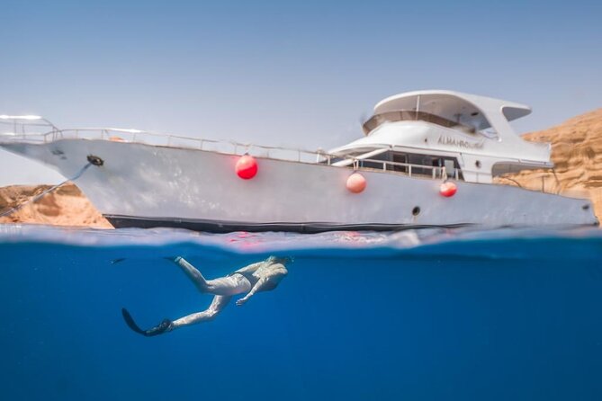Snorkeling Day Trip to White Island and Ras Mohamed from Sharm - Who this trip is best for, and who should skip it