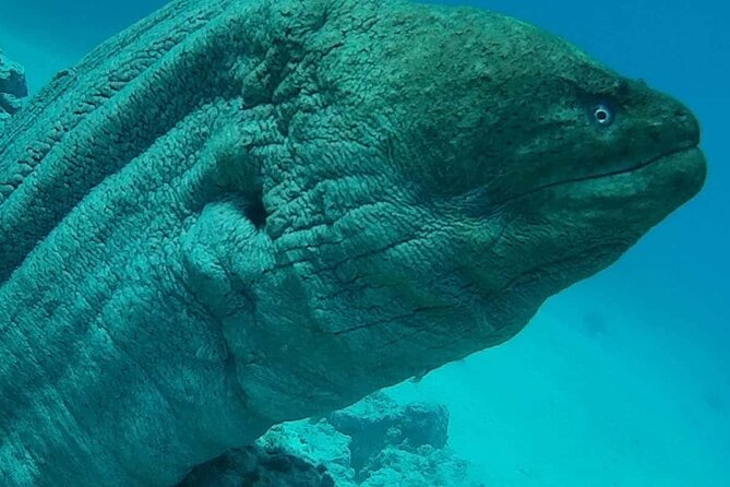 Snorkeling Tours Hurghada Boat excursions Orange bay Trip - Morning Plan From Hurghada: Getting There Without Stress